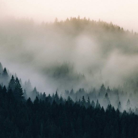 Hi! We are Sean & Samantha - Picture 1 of 4